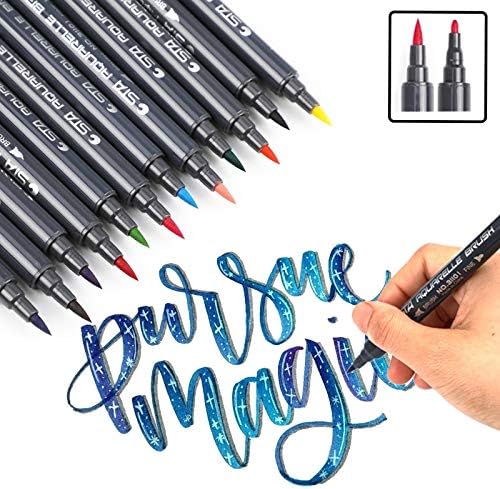 12Colors Dual Tip Painting Brush Pens Art Markers, Double Colored Pens Set for Adult, Kids, Children Coloring Books, Bullet Journal, Note Taking, Calligraphy and Manga