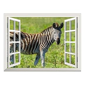 Removable Wall Sticker/Wall Mural - Open Field with a Zebra Walking by | Creative Window View Wall Decor - 24"x32"