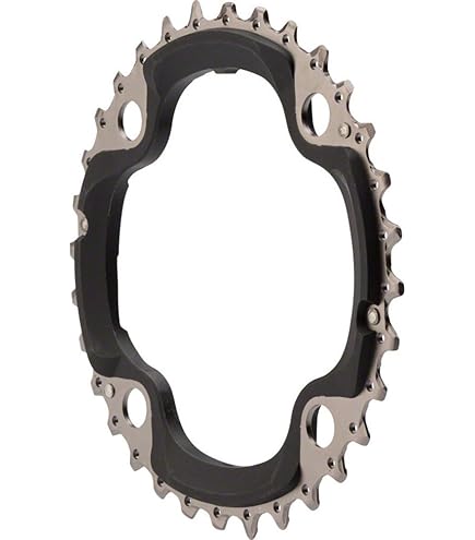 バンドスコア ジッタリンジン TENTASTIC! from 8-9-10! Amazon.com : SRAM/Truvativ X0 and X9 36T 104mm BCD 10 Speed GXP