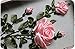 Wandafull Ribbon embroidery Kit Handmade Red Rose (No frame)