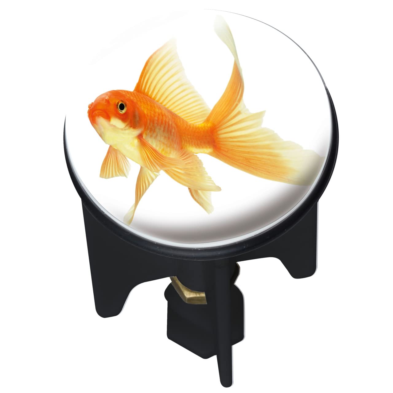 WENKO Pluggy-Fish Drain Plug, Multi-Colour, 3.9 x 3.9 x 6.5 cm — image 1