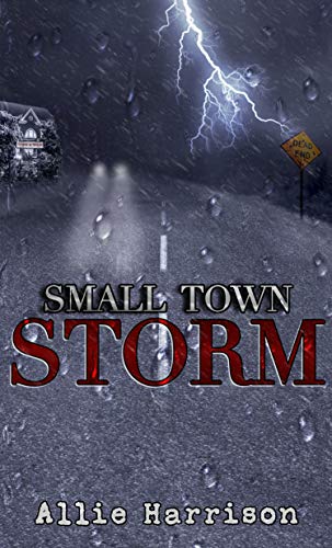 Small Town Storm by [Harrison, Allie]