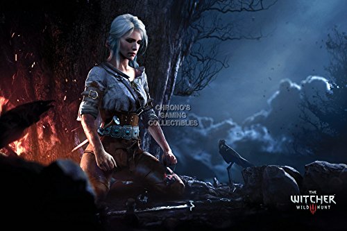 CGC Huge Poster - Witcher 3 III Wild Hunt Ciri PS4 XBOX One - EXT154 (24