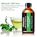 URbeauty Peppermint Essential Oil, 4 Ouce/ 120ml 100% Pure and Natural Peppermint Oil, Steam Distilled Mint Essential Oils for Home & Office, Perfect for Aromatherapy, Diffusion, Spa, Bath