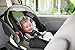 Graco SnugRide 30 Click Connect Infant Car Seat, Bear Trail