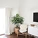 GTidea 3.3 Feet Artificial Fortune Tree Silk Plants Real Touch Soft Lush Leaves Home Office Arrangements Indoor Outside Greenery Decor
