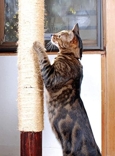 Counter Surfing How To Train Your Cat To Stay Off The Counter
