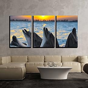 3 Piece Canvas Wall Art - The Bottle-Nosed Dolphins in Sunset Light - Modern Home Art Stretched and Framed Ready to Hang - 16"x24"x3 Panels