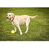 Petface-Super-Tennis-Balls-For-Dogs-Throw-and-Fetch-Outdoor-Exercise-12-Pack Petface Super Tennis Balls For Dogs, Throw and Fetch, Outdoor Exercise, 12 Pack