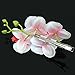 DreamLily Hawaiian Orchid Flower Hair Clips for Wedding Hair Brooch Hawaii Beach Wearing (White Pink)