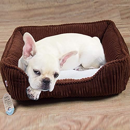 買得の犬 ソファー 大型犬 ゆめかわ 洗える ベット 防溫 ドーム型 ペットベット 洗える 犬 暖い オーバル 秋冬 可愛い おしゃれ ふわふわ 犬 マット 滑り止め ピンク 犬 ベッド 高級 わんこ ベッド 抜群正規品直輸入 の 買得の犬 ソファー 大型犬 ゆめかわ 洗える ベット 防溫 ドーム型 ペットベット 洗える 犬 暖い オーバル 秋冬 可愛い おしゃれ ふわふわ 犬 マット 滑り止め ピンク 犬 ベッド 高級 わんこ ベッド 抜群正規品直輸入 の