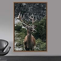 Framed Canvas Wall Art Deer Animals Deer Multicolor Photography Rustic Urban - 16x24 inches