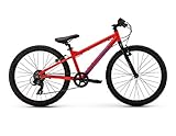 Raleigh Bikes Kids Rowdy 24 Mountain Bike, 24