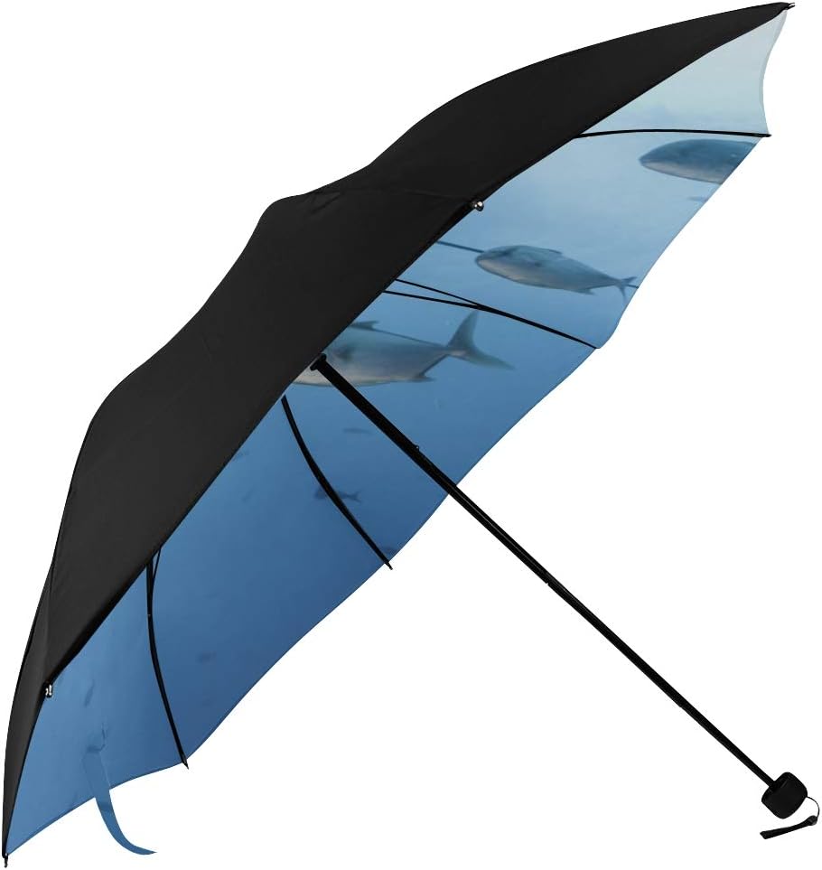 travel sun umbrella