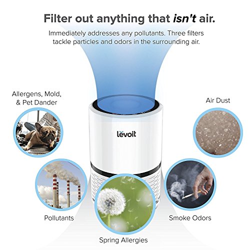 [- Levoit Air Purifier with True HEPA & Active Carbon Filters, Compact Purifiers Filtration wit