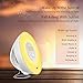 Wake Up Light 2017 Newest Version Wake-Up Light Colored Sunrise Alarm Clock with Smart Snooze Function, Nature Sounds, FM Radio - Touch Control with USB Charger