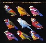 BREAKDOWN IN PARADISE                              image