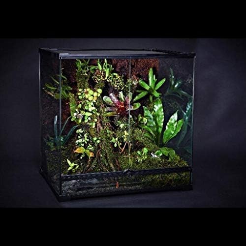 屋内ビバリウムテラリウム ヘビlizzards小魚 テラリウムボックス無脊椎動物両生類アクアリウムタンク Size 30 30 45 Cm B0qwsnhm 7 511円 大人気 New Arrival 最安値挑戦 年中無休 高品質 通販
