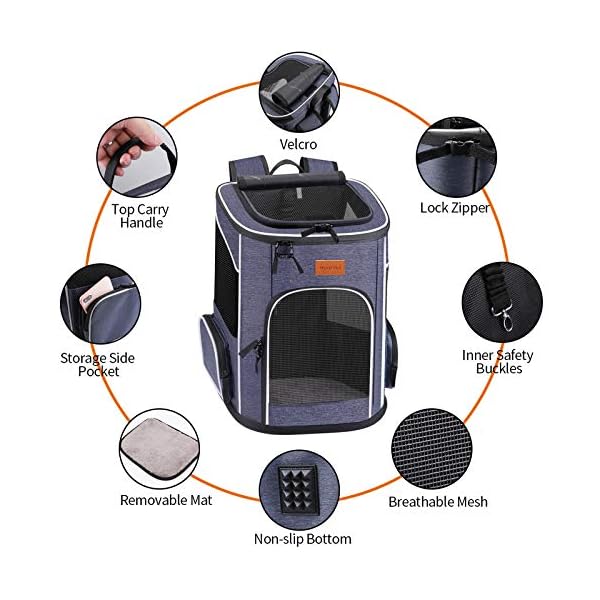 morpilot cat carrier