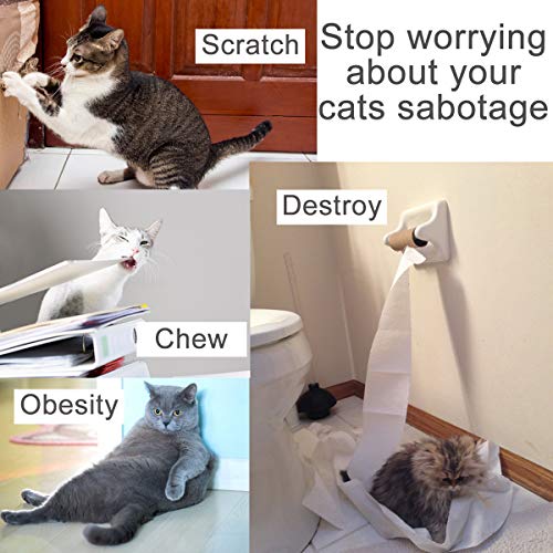 Catnip Toys Interactive Cat Fish Shape Toothbrush Refillable Catnip Bite Resistant Simulated Fish Silicone Teeth Cleaning Chew Pet Supplies for Kitten Kitty Cats Clean in The Dishwasher Blue & Orange