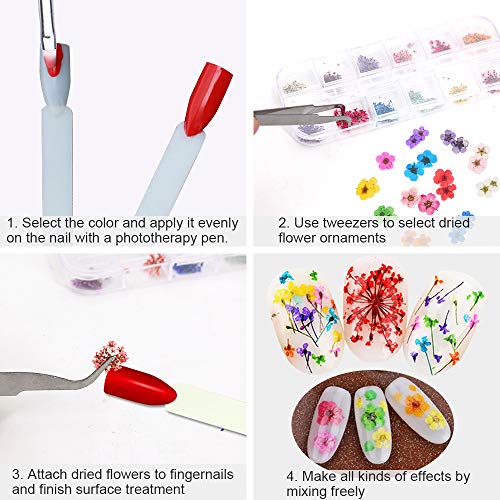 Sealive 3D Nail Art Accessories Kits 12 Colors Natural Real Dried Flowers Nail Art 3 Set, with 50 Pcs Fan-shaped PVC False Nail Art Tips Practice Display, Nail Brush and Nail Stickers Decal Tweezer - Thumbnail 2