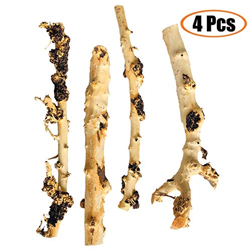 Aquarium Driftwood,4 Pcs Driftwood Branches Aquarium Decoration Assorted Size,Natural Habitat Decor Wood for Fish Tank Forest Branch Terrarium Wood Ornament