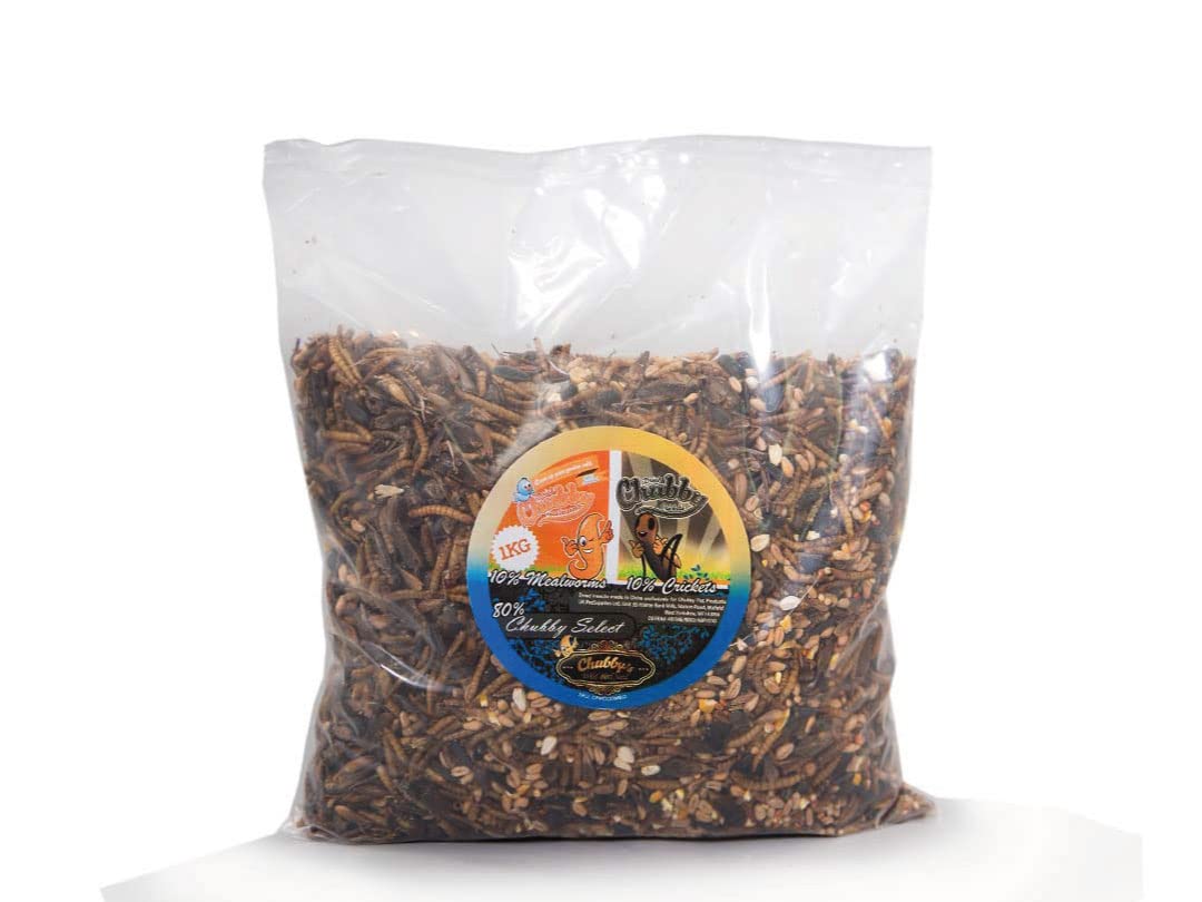 Chubby's Cricket Combo - 1Kg Wild Bird Seed, Mealworms & Cricket Mix