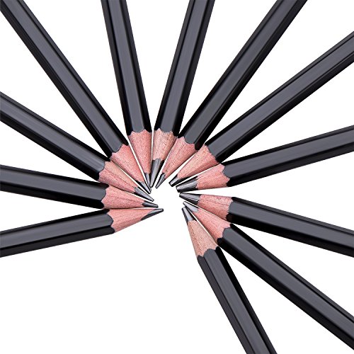 Bianyo Sketch Pencil Drawing Pencils Art Pencils Drawing Kit(12-Piece,3H, 2H, H, HB, B, 2B, 3B, 4B, 5B, 6B, 8B, 10B) - Thumbnail 4