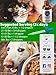 Benny's Hemp Oil for Dogs and Cats 250mg - Supports Anxiety Relief, Aging, and Joint Pain in Pets - 100% Organic, Natural, Grown & Made in USA