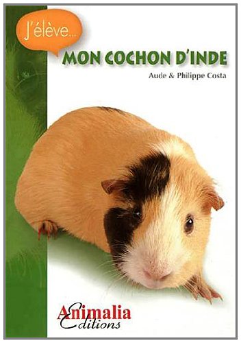 Mon cochon d'Inde