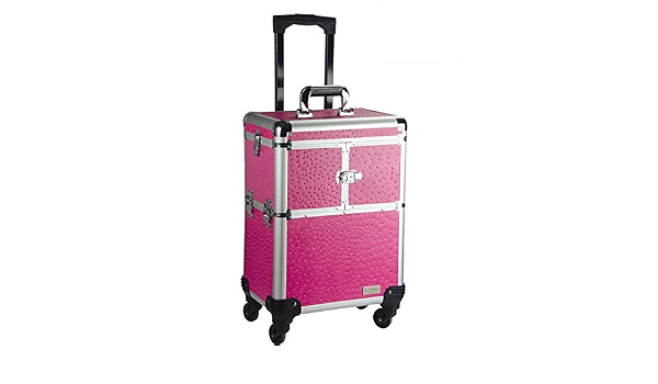Amazon.com: AAcase - Maletín de cosméticos para equipaje, estuche de  cosméticos profesional, estuche de peluquería, caja de técnica para uñas.,  Rosado : Belleza y Cuidado Personal