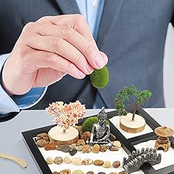 Japanese Zen Garden for Desk - Sakura Budah 9" x