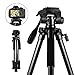 SAMTIAN Camera Tripod 58 Inches 147CM Lightweight Aluminum Travel Camera Tripod with 3-Way Swivel Head Phone Clip Carry Bag-11Lbs(5KG) Load for Canon Nikon Sony Olympus Photography Video Shooting
