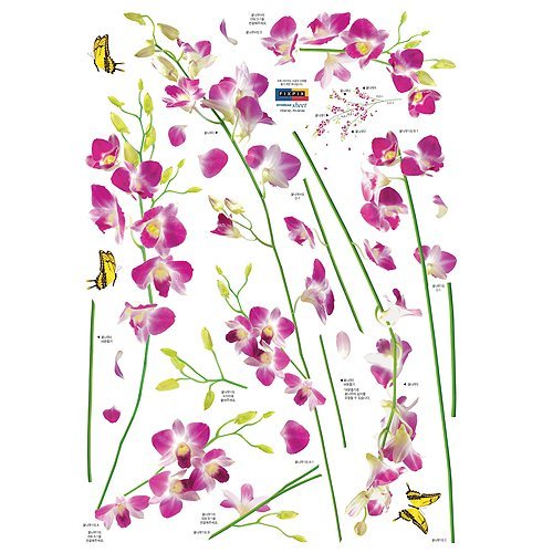 Orchid Tree Branch Stem Flower Butterfly Wall Decal