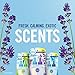 Febreze Refill, 2 count