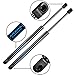 ARANA Hood Struts for F150 F250 1997-2004, Front Hood Shocks Lift Support Fits 1997-2006 Ford Expedition, 2 Pcs