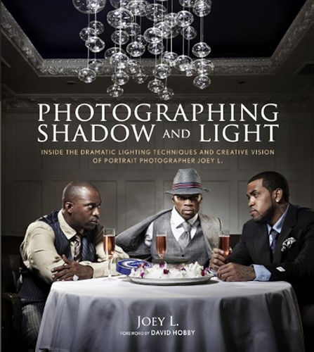 Download Photographing Shadow and Light: Inside the Dramatic Lighting Techniques and Creative Vision of Portrait Photographer Joey L. (English Edition) PDF