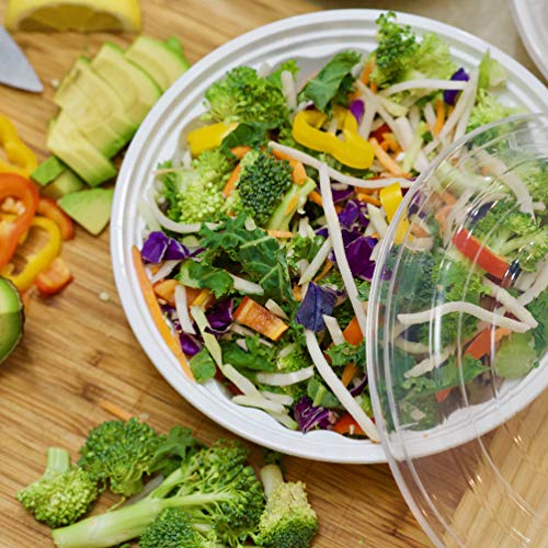 16oz White Round Plastic Meal Prep Bowls Set of 24 Bento Loco Bowls