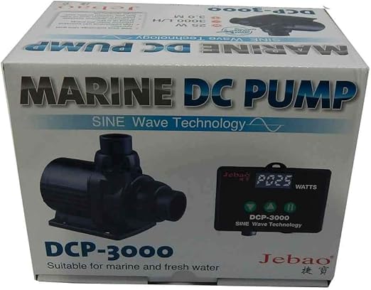 sapato da reef de 3000