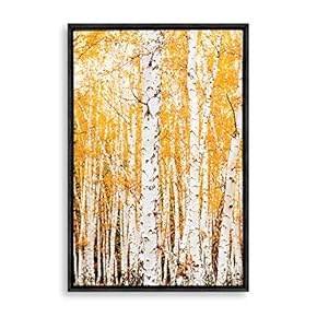 NWT Framed Canvas Wall Art for Living Room,...