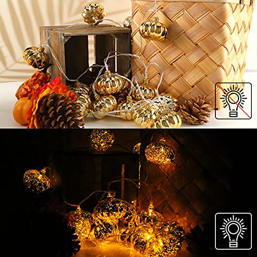 DomeStar Halloween Pumpkin String Lights, 9.8FT 20LED Pumpkin Lights Waterproof Halloween String Lights Flash Holiday Lights for Patio Garden Gate Halloween Outdoor Decor