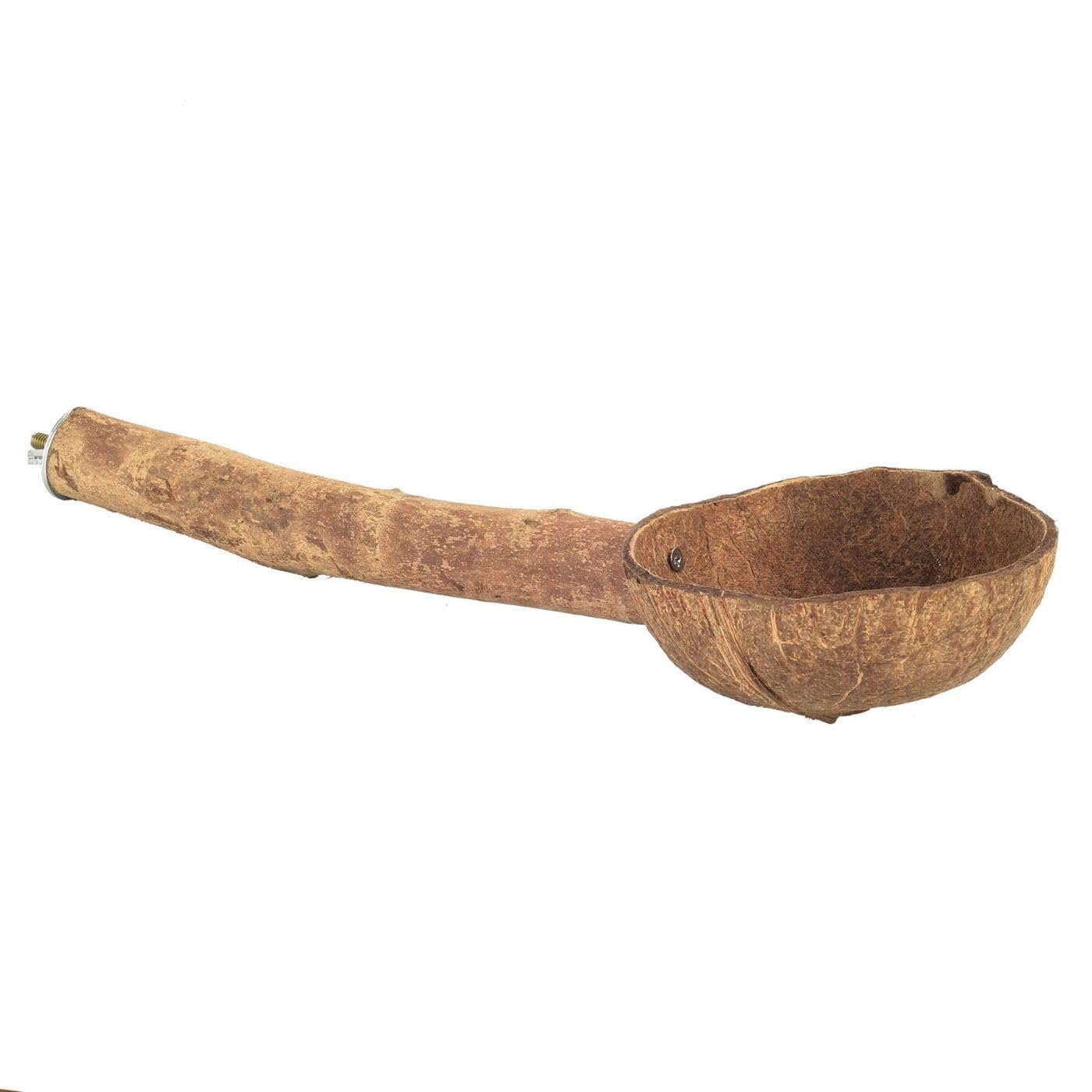 Parrot Essentials Natural Wood Perch with Coconut Feeding Cup 35cm (13.7") - African Grey, Amazon, Cockatoo, Comfortable Bird Perches Natural Wood, Pine Wooden Bird Stand for Foot Exercise