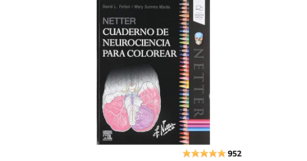 Amazon Com Netter Cuaderno De Neurociencia Para Colorear Spanish Edition 9788491134572 Felten David L Gea Consultoria Editorial S L Books