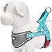 Blueberry Pet 8 Colors Soft & Comfy 3M Reflective Strips Padded Dog Harness Vest, Chest Girth 16.5