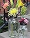 Oil Rubbed Bronze Flower Organizer Frog Lid for Mason Jars (3 Pack, Regular Mouth)