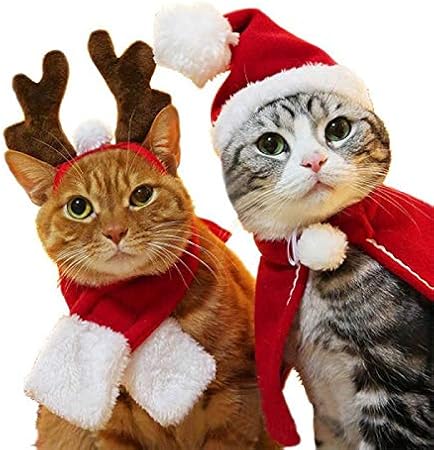 Regali Di Natale Per Gatti.Chuang Tiang Cappellino Per Sciarpa Per Gatto Per Animali Domestici Fascia Per Mantello Set Regali Festa Di Natale Inverno L Amazon It Casa E Cucina