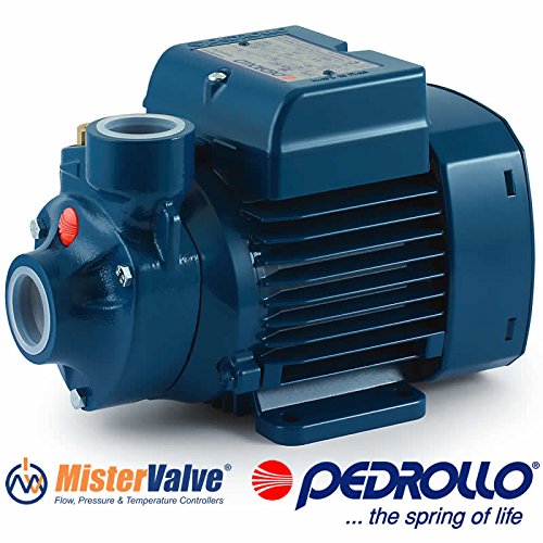 Buy Pedrollo Electric Water Pump PKm peripheral impeller pump PKm 70