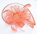 Womens Formal Party Fascinator Hat with Headband for Cocktail Watermelon Red