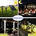 DINGLILIGHTING Solar Spot Lights - 2-in-1 Waterproof LED Landscape Spotlights for Yard, Garden, Driveway, Patio, Lawn - Auto On/Off Daylight