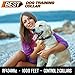 Best Rechargeable Waterproof Dog Training Collar Version 2.0 with Remote for All Sizes